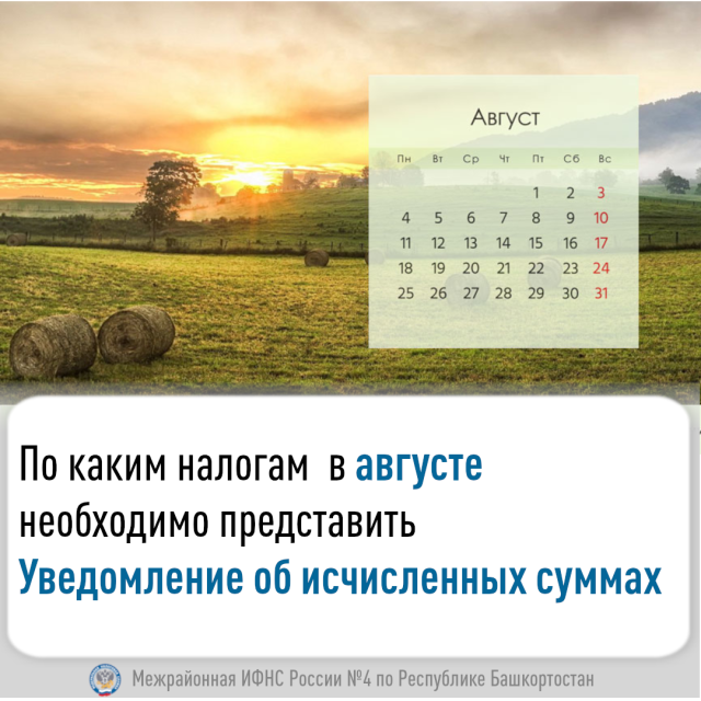 По каким налогам  в августе необходимо представить Уведомление об исчисленных суммах
