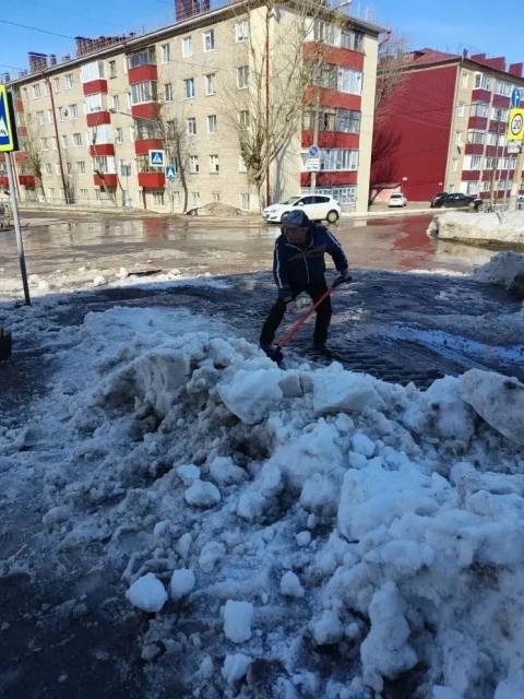 Во всех образовательных организациях нашего города прошли субботники