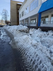 Во всех образовательных организациях нашего города прошли субботники
