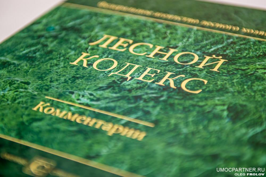 Вступили в силу изменения в Лесной кодекс Российской Федерации и отдельные законодательные акты Российской Федерации