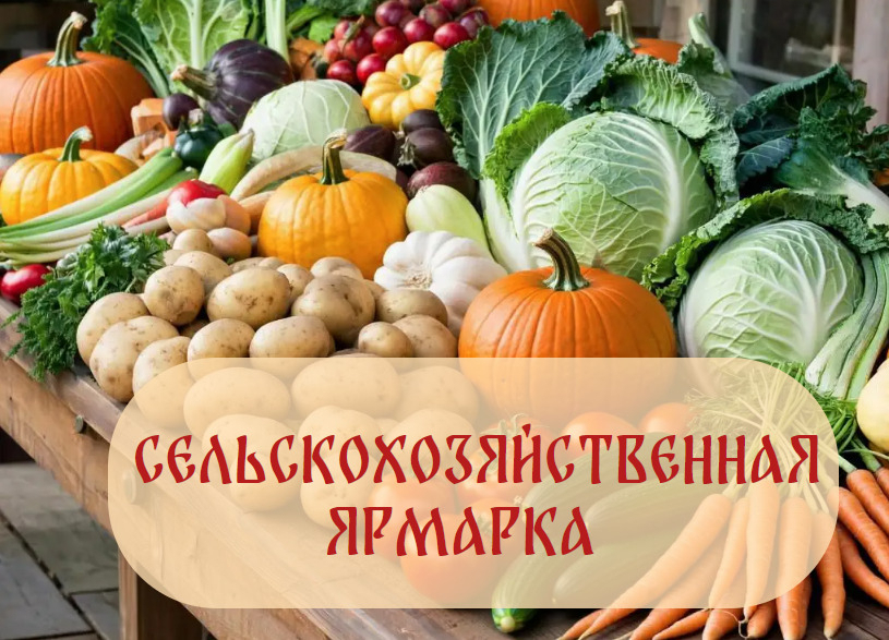 3 октября на площади Советов состоится очередная сельскохозяйственная ярмарка