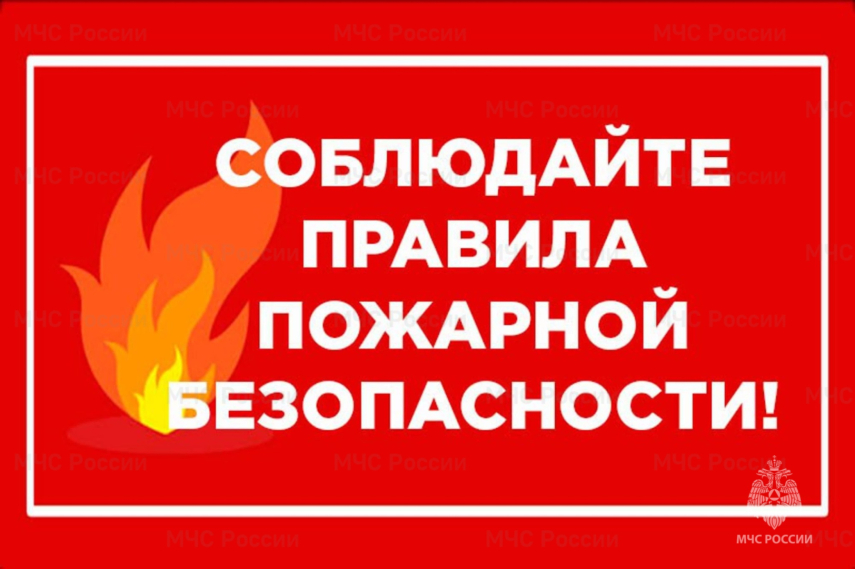 Хроника происшествий