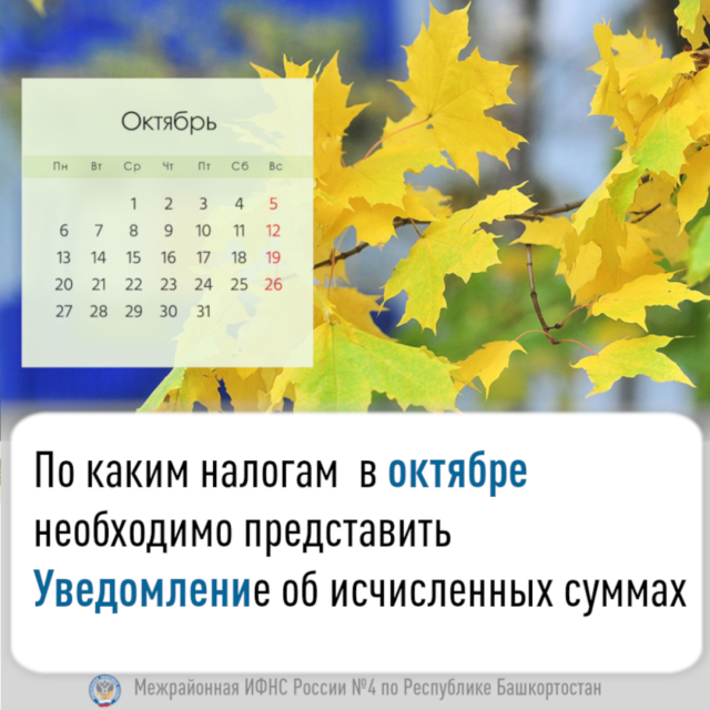 По каким налогам  в октябре необходимо представить Уведомление об исчисленных суммах