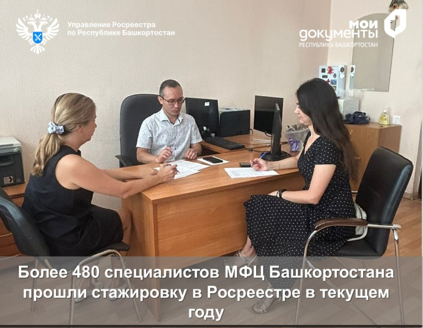 Более 480 специалистов МФЦ Башкортостана прошли стажировку в Росреестре в текущем году