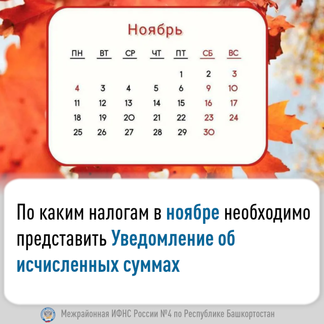 По каким налогам  в ноябре необходимо представить Уведомление об исчисленных суммах